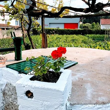 Apartment Casinha Da Avo Rosario Juncal (Leiria)